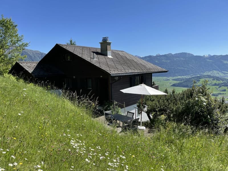 Ferienhaus mit traumhafter Zürichsee- und Alpensicht - 894 m² Grundstück (3)