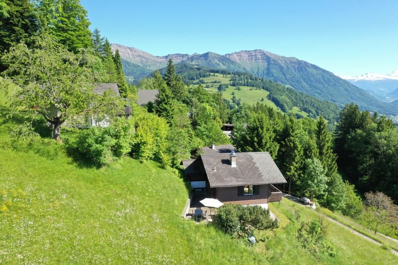 Ferienhaus mit traumhafter Zürichsee- und Alpensicht - 894 m² Grundstück (2)