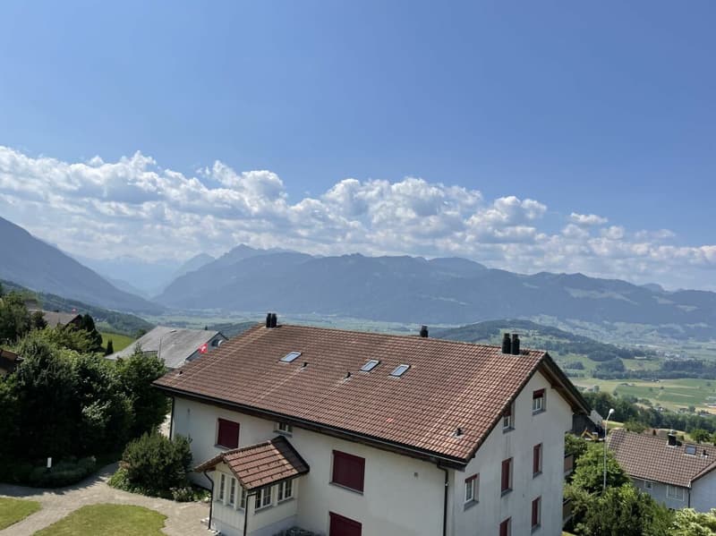 Luxuriöse 5,5-Zimmer-Attikawohnung mit See- und Bergsicht (13)