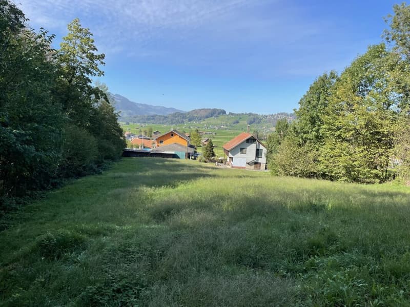 Eine seltene Gelegenheit - Liebhaberobjekt mit 3'938 m² Land mitten im Grünen (8)