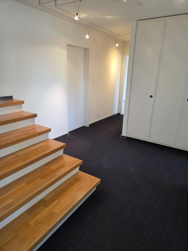 Ampio appartamento maisonette di 4,5 locali in una posizione tranquilla con una vista mozzafiato sul lago e le montagne (7)
