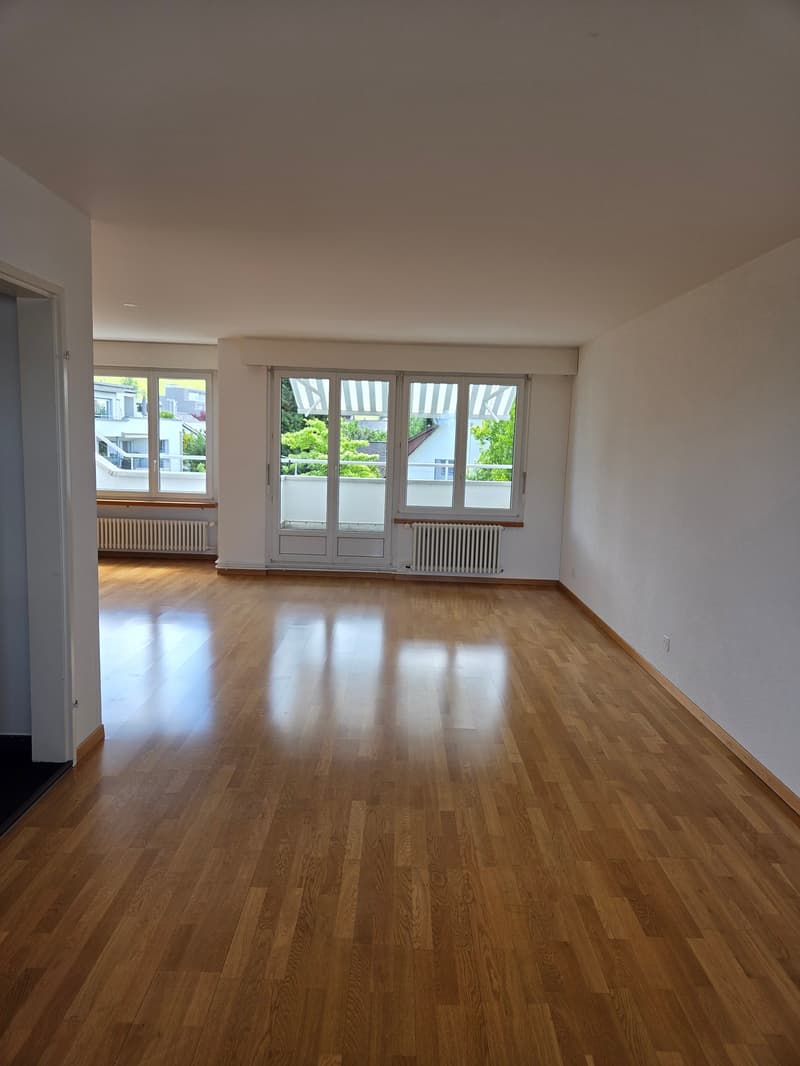 Ampio appartamento maisonette di 4,5 locali in una posizione tranquilla con una vista mozzafiato sul lago e le montagne (3)