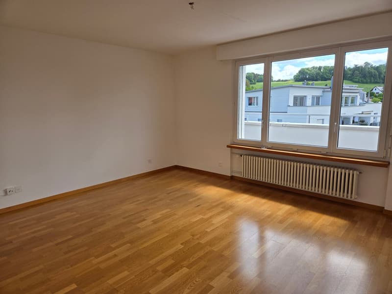 Ampio appartamento maisonette di 4,5 locali in una posizione tranquilla con una vista mozzafiato sul lago e le montagne (9)