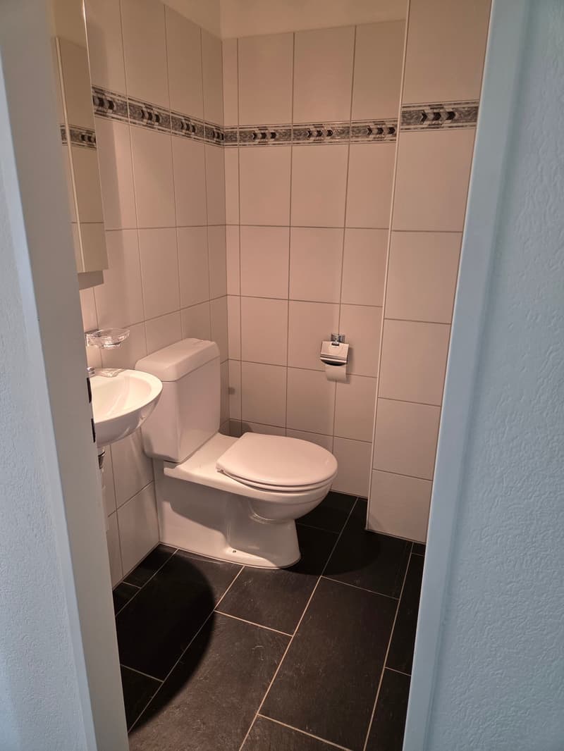 Ampio appartamento maisonette di 4,5 locali in una posizione tranquilla con una vista mozzafiato sul lago e le montagne (6)