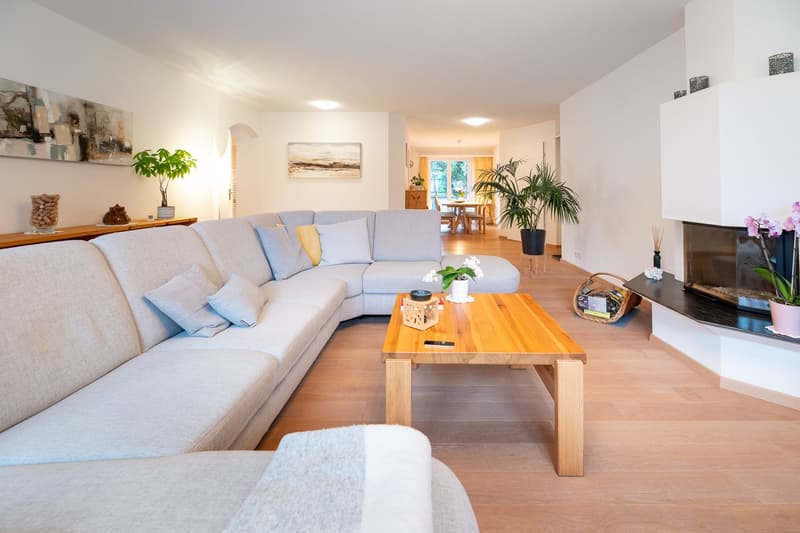 L-shaped sofa, wooden coffee table, fireplace, plants, paintings, wooden floor