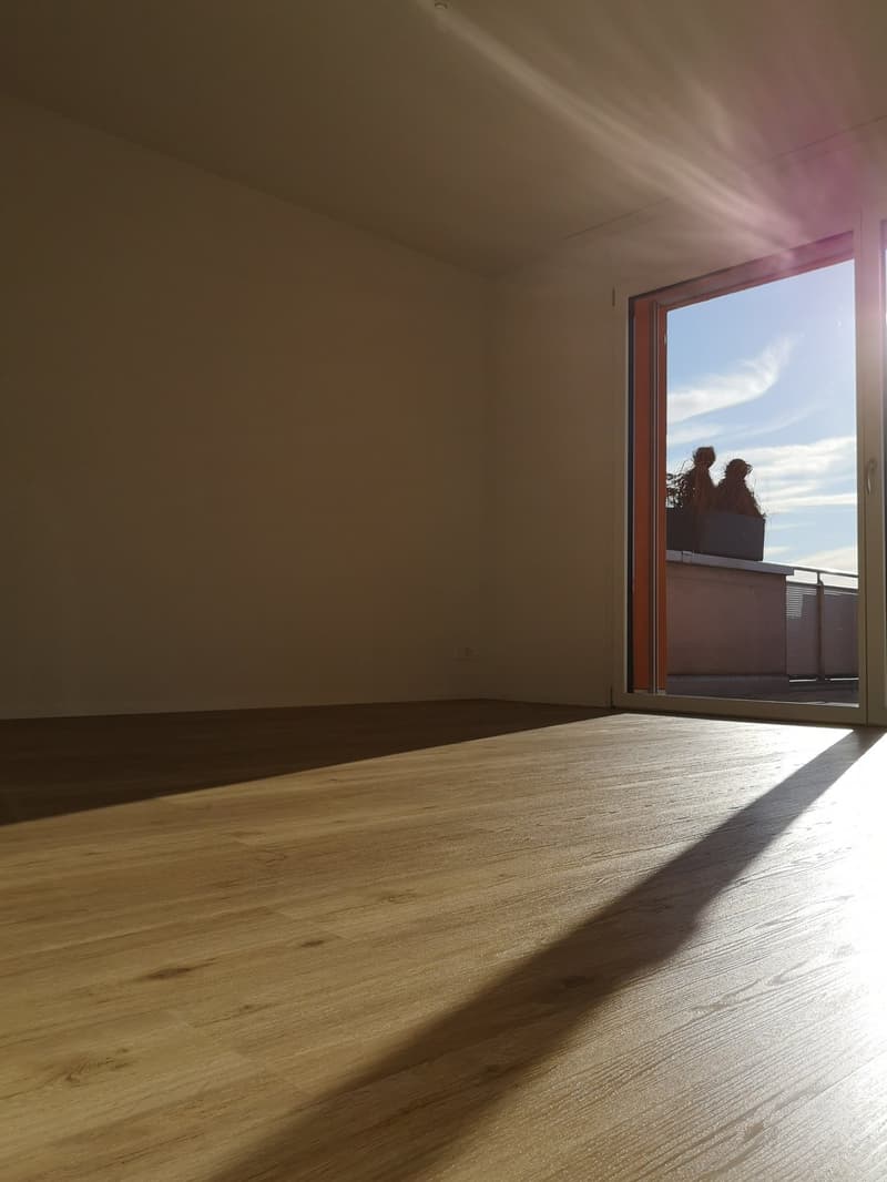 Sonnendurchflutete 4.5-Zimmer-Attikawohnung mit 123 m² Terrasse (10)
