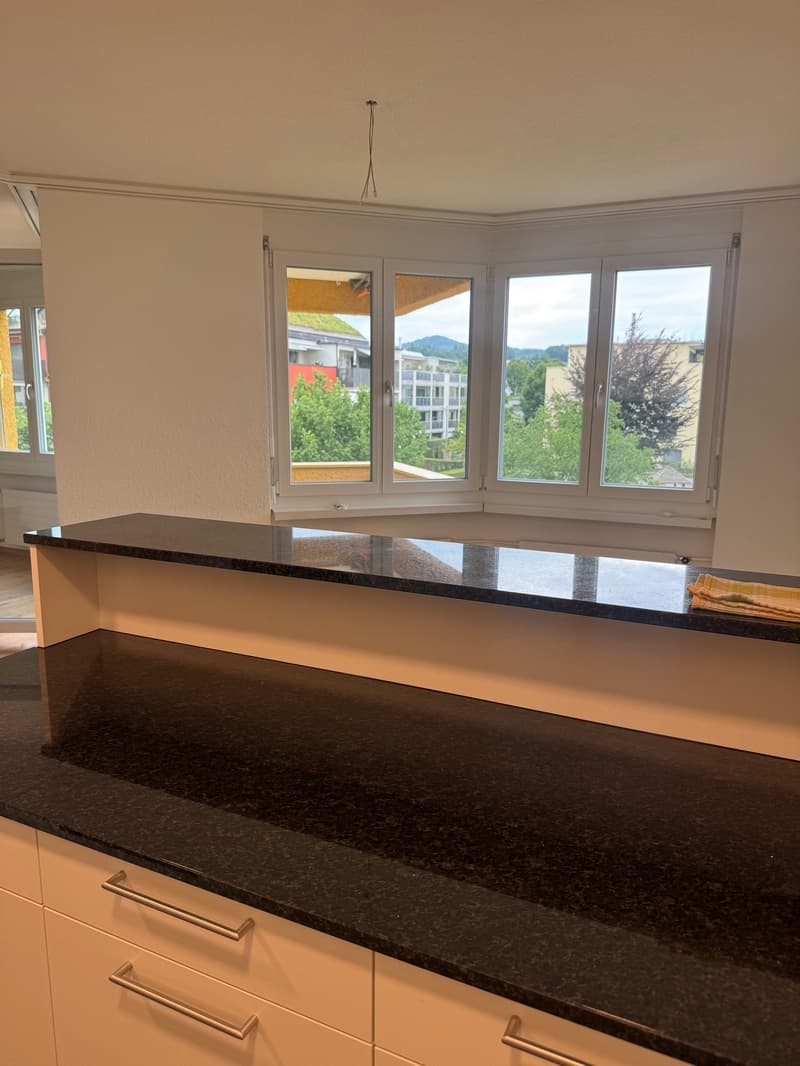 Frisch sanierte 3.5-Zimmer-Wohnung mit Balkon in Pfäffikon ZH (2)