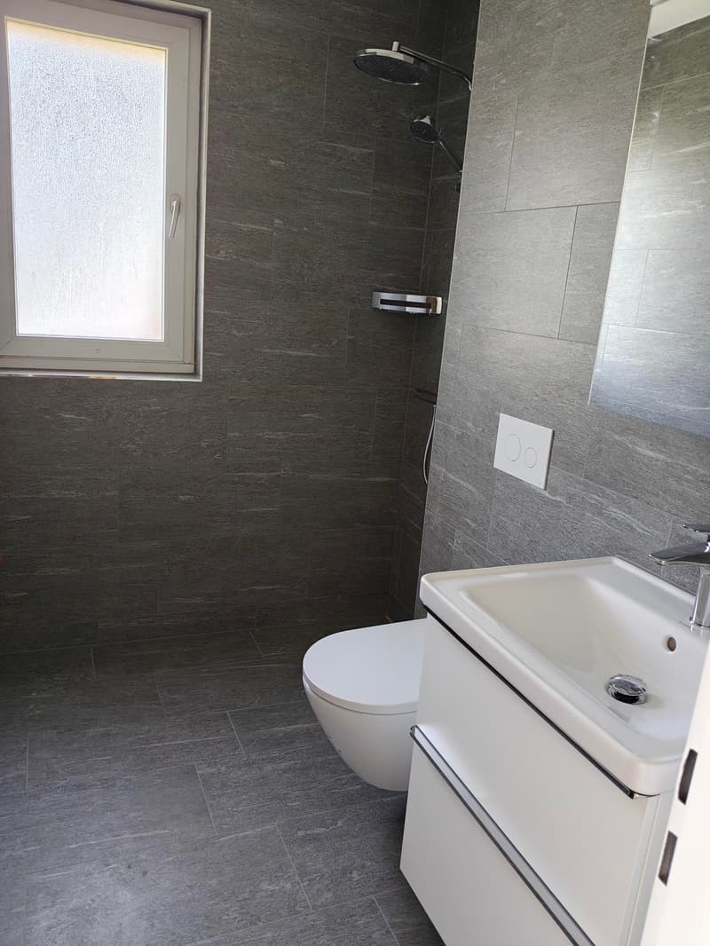 Appartement de 3,5 pièces rénové avec balcon à Pfäffikon ZH (4)