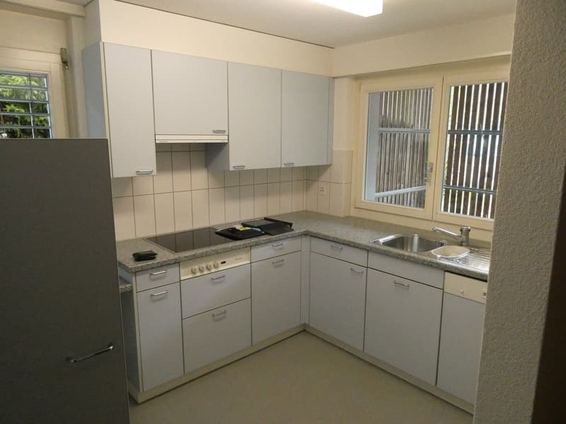 3.5 room apartment with great floor plan and garden seating area (2)