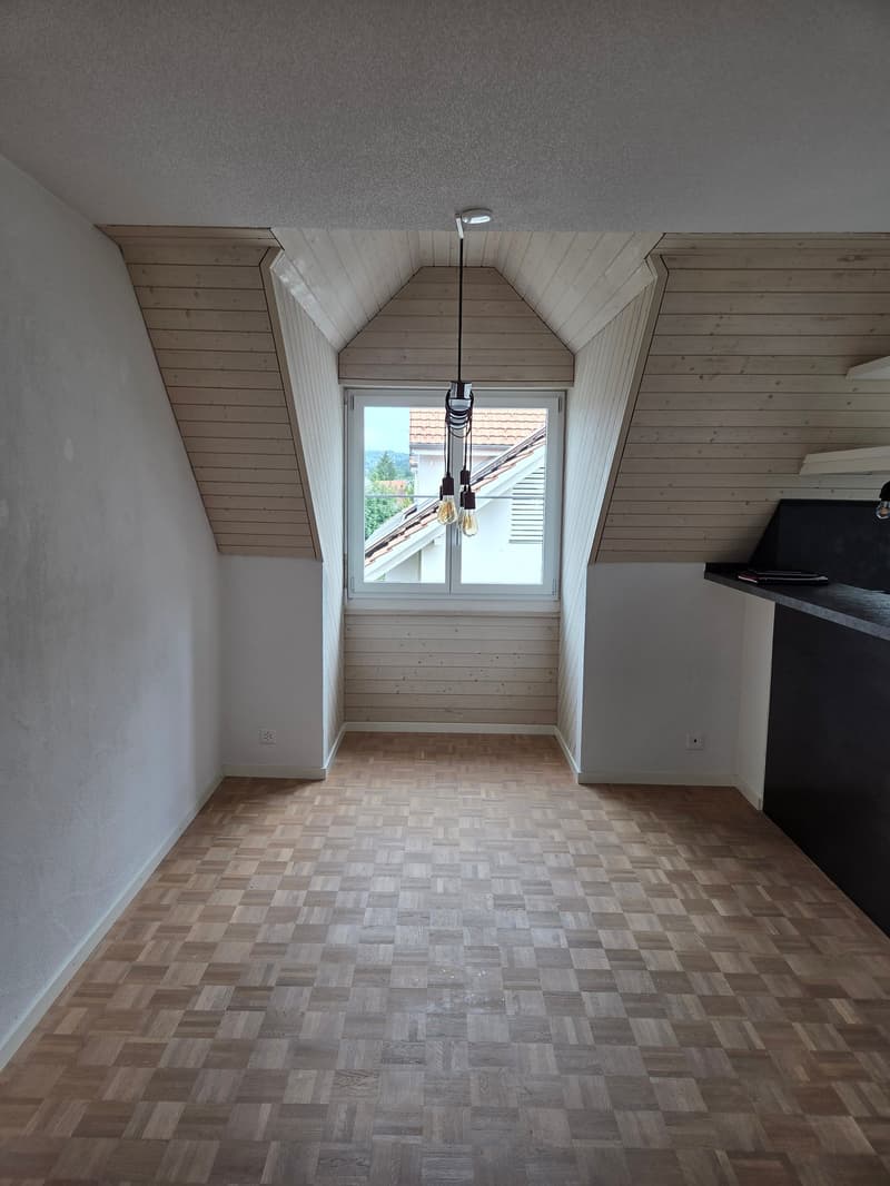 Bright 4.5-room attic maisonette apartment with a wonderful view (3)