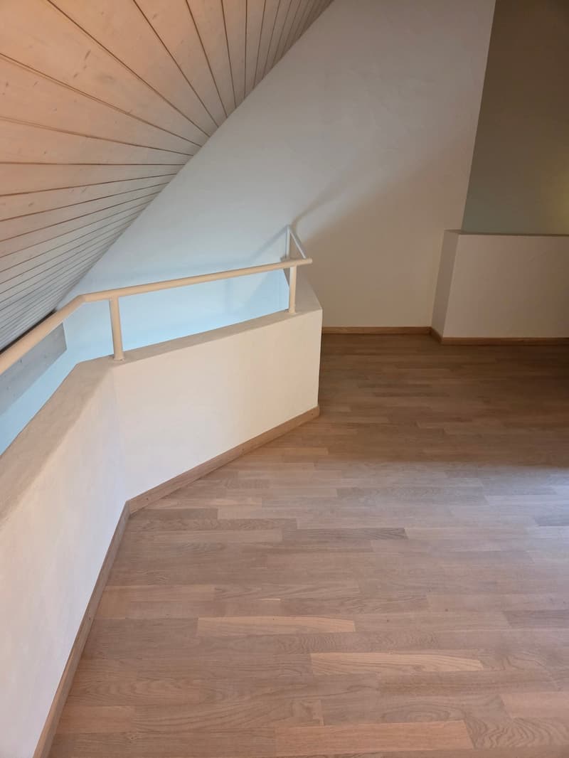 Bright 4.5-room attic maisonette apartment with a wonderful view (10)