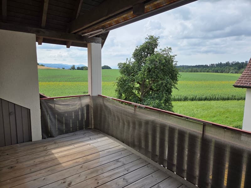 Bright 4.5-room attic maisonette apartment with a wonderful view (1)