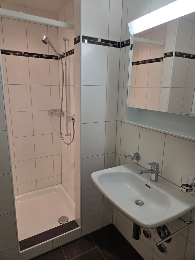 Appartamento moderno 3.5 locali con balcone soleggiato (10)