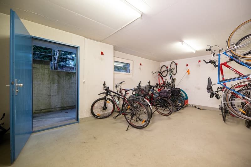 Grosszügige 5.5-Zimmer-Gartenwohnung inkl. Tiefgaragenparkplatz und Bastelraum (20)