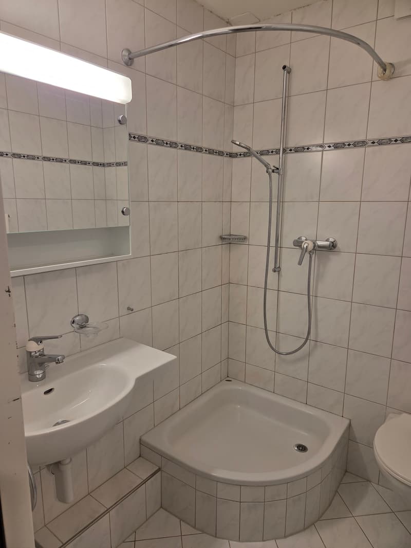Helle 4.5-Zimmer-Wohnung an ruhiger Lage in Wetzikon (4)