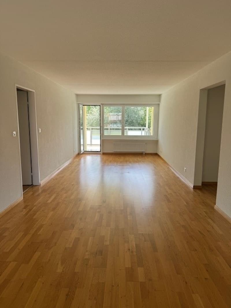 Helle 4.5-Zimmer-Wohnung an ruhiger Lage in Wetzikon (3)