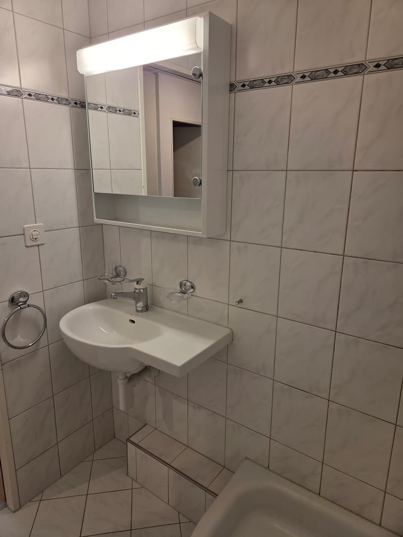 Helle 4.5-Zimmer-Wohnung an ruhiger Lage in Wetzikon (5)