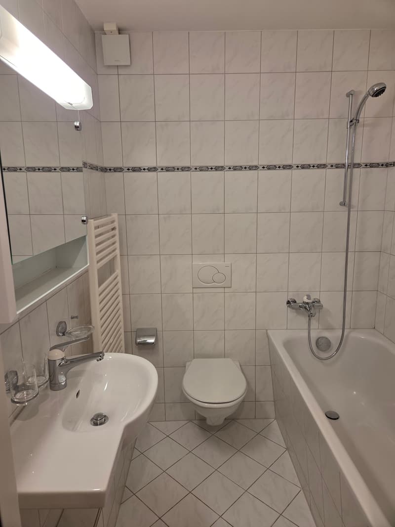 Helle 4.5-Zimmer-Wohnung an ruhiger Lage in Wetzikon (6)
