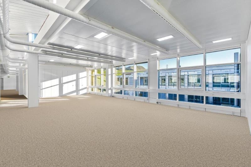 large carpeted room, white walls, white exposed beams, several large windows, ceiling lights