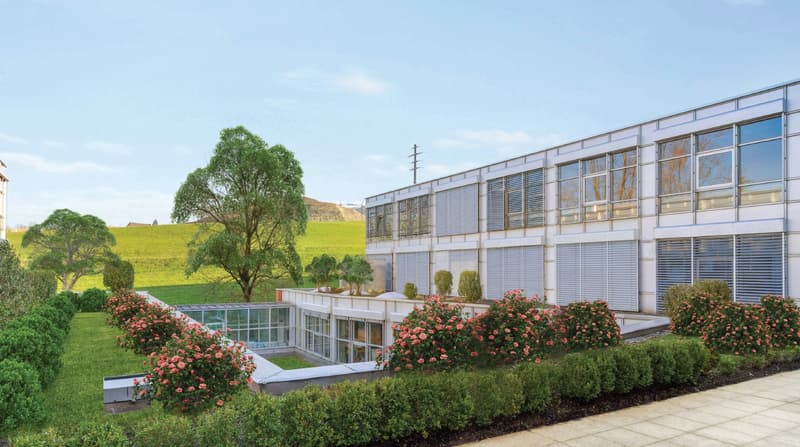Modern design building with a raised ground floor, surrounded by greenery and flowers