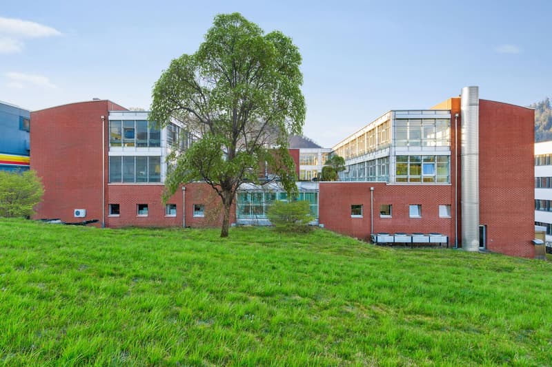 Red brick exterior, large windows, raised ground floor, flat roof, large tree in the foreground, grassy area