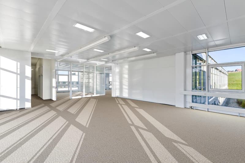 empty room with white walls, glass windows, ceiling lights, carpeted floor