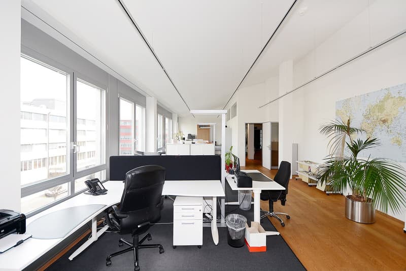 Spacious office room with white walls, wooden floors, modern desks and chairs, large windows, a potted plant and a world map poster.