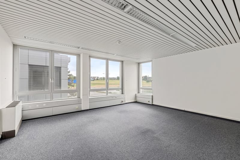 Large open room with floor-to-ceiling windows, grey carpeted floor, white walls and ceiling with exposed beams, and built-in storage units along the walls.