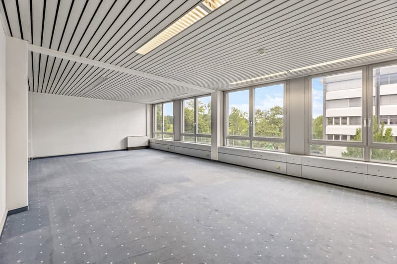Large open office space with floor-to-ceiling windows providing a view of the surrounding trees and greenery. The space has a modern, minimalist design with a gray tiled floor and a suspended ceiling with linear lighting fixtures. The room appears to be e
