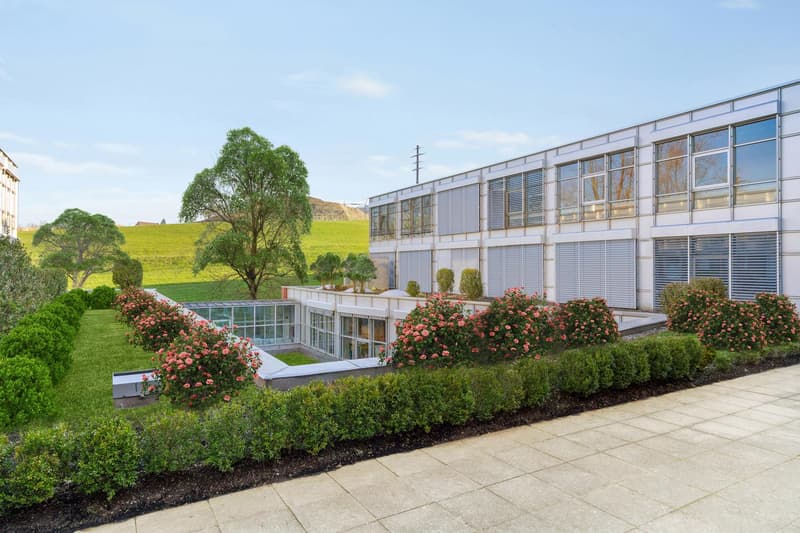 modern design, white exterior, large glass windows, hedges, manicured garden, driveway, rolling hills in the background