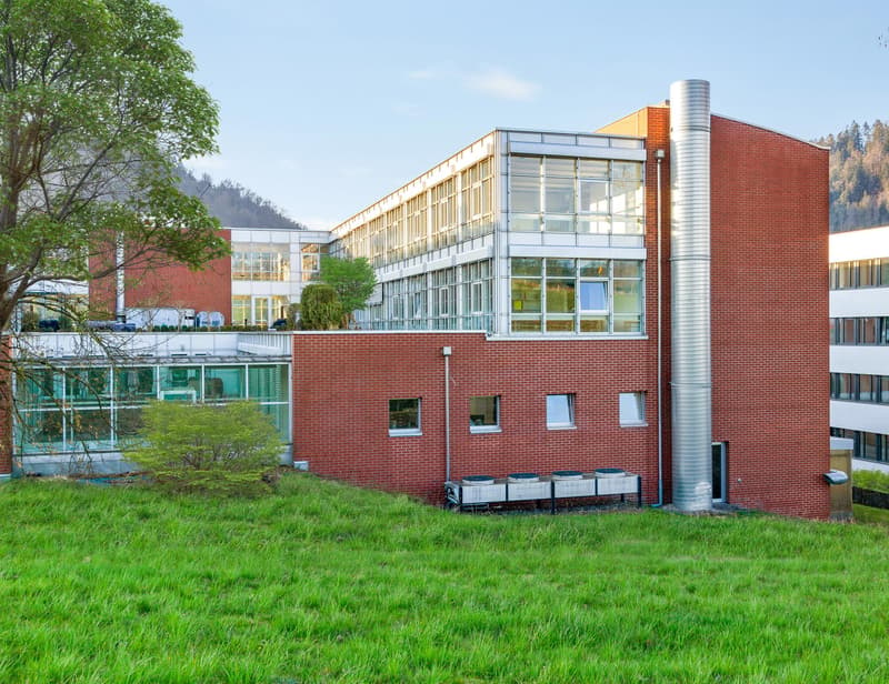 Gewerbeflächen ab 381 m² (4)