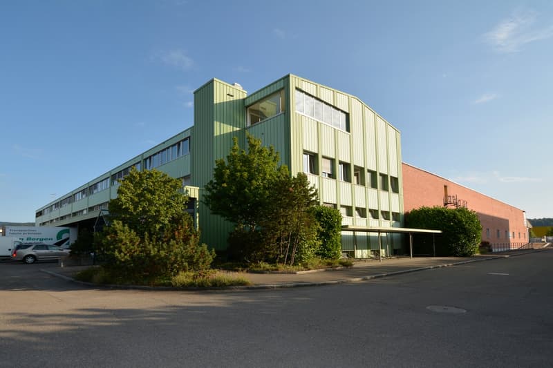 A two-story office building with green exterior and brick wall, large windows, trees and bushes around, parking lot with a car parked.