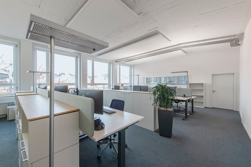 modern office layout, desks, computers, ergonomic chairs, shelves, central large plant, large windows, white walls, gray carpet