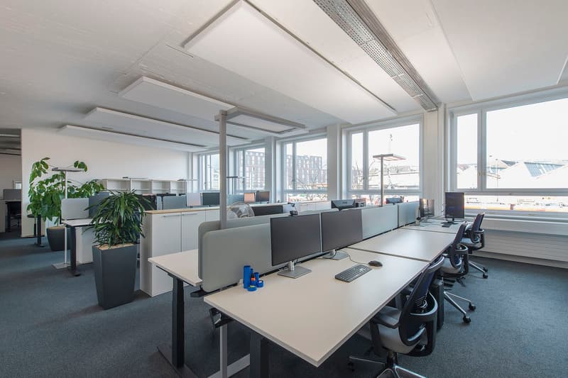 open office layout, desks, office chairs, monitor, keyboard, mice, ceiling lights, white walls, large windows, plants, fan