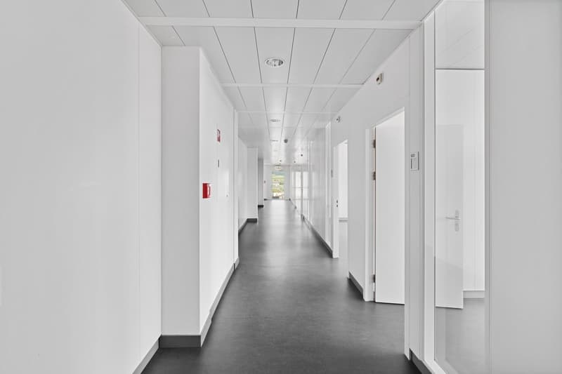 white walls, ceiling, black flooring, white doors, red extinguishers