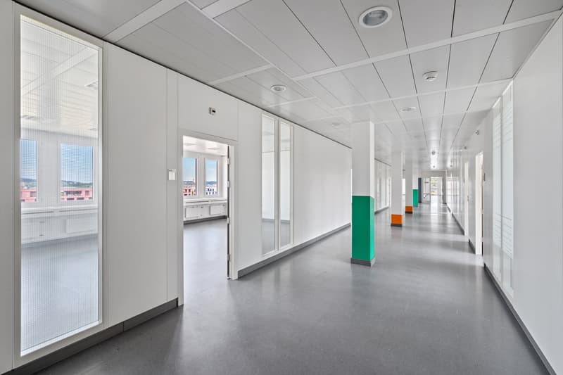 white walls, glass doors, ceiling panels, windows, gray flooring