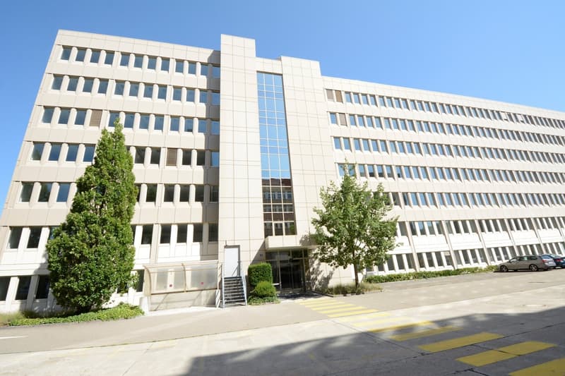 Office building with white exterior, large windows, main entrance with glass doors, 2 trees in front, yellow pedestrian lines, 2 cars parked