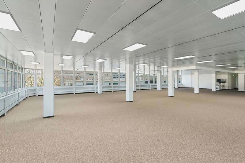 Large empty room, carpeted floor, white ceiling and walls, multiple windows, lights