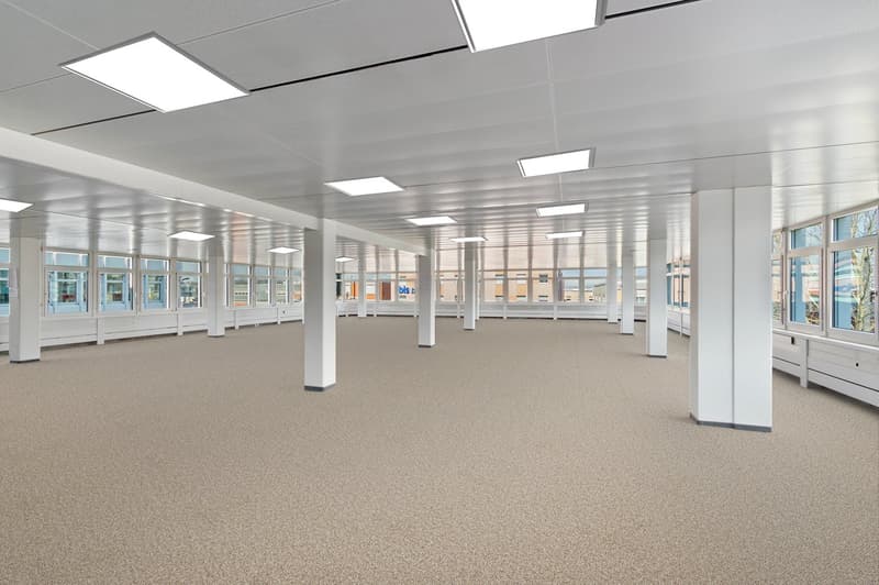 Spacious open room with white walls and ceiling, rows of rectangular lights, large glass windows, beige carpet