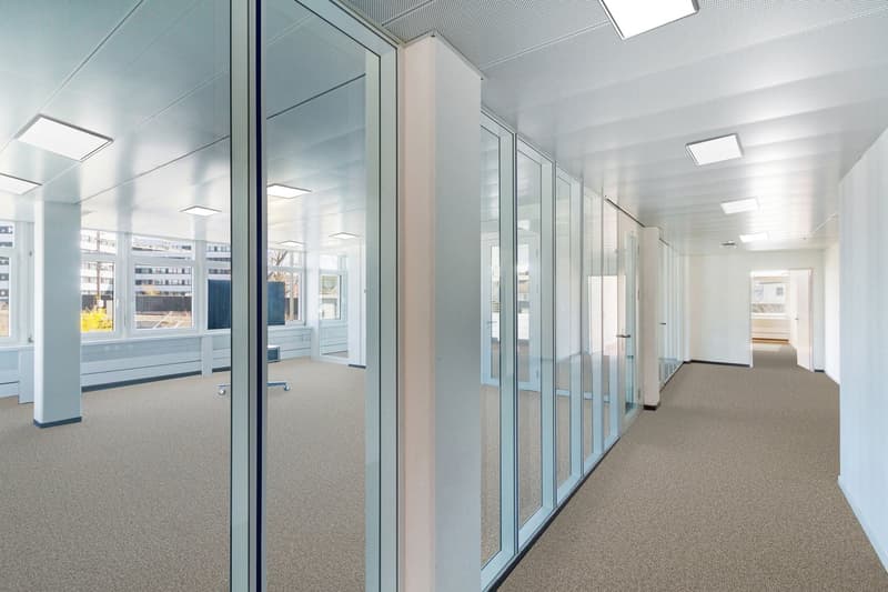 empty office hallway, glass partitions, white walls, ceiling lights, carpeted floor, glass windows
