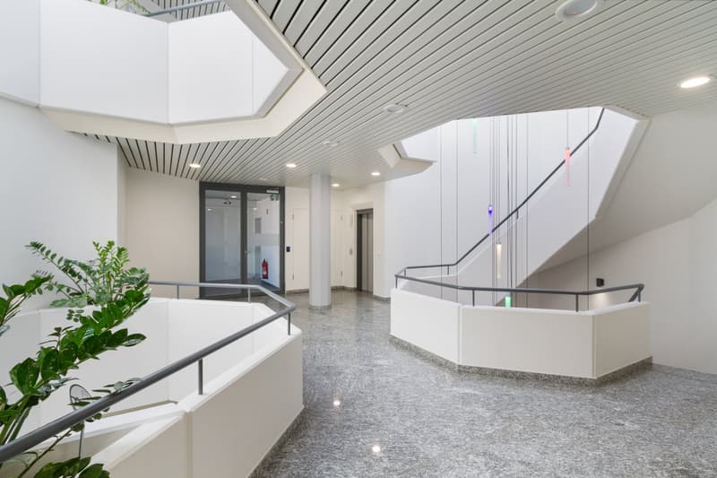 modern building, white walls, gray flooring, glass doors, fire extinguisher, staircase, plants