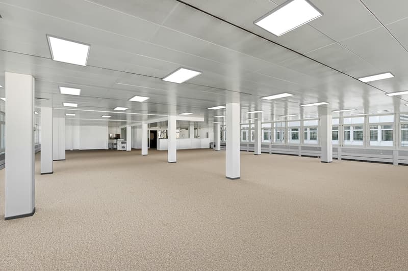 Large open space with white pillars and beige carpeted floor, multiple windows, ceiling with white panels and square ceiling lights.