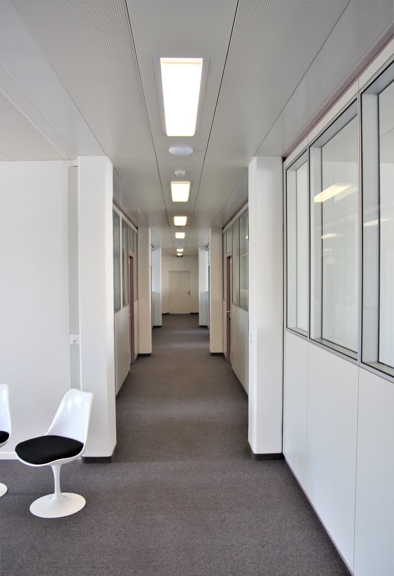 Office building hallway, white walls, gray carpet, office doors, fluorescent ceiling lights