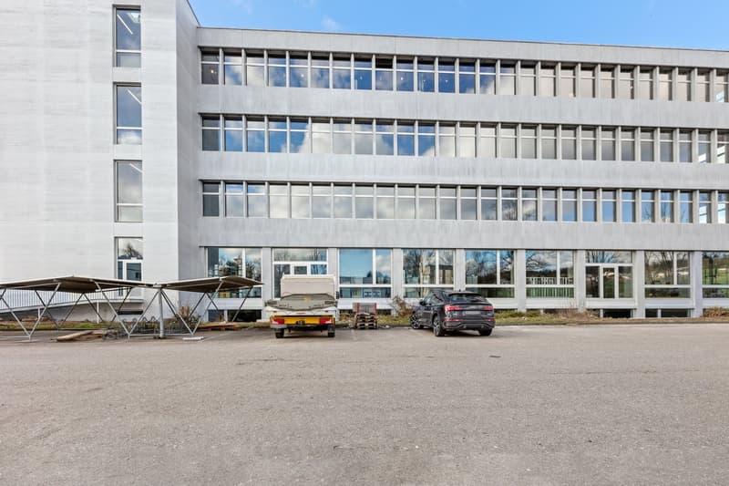 Renovated commercial space with 2 freight elevators available for occupancy from summer! (7)
