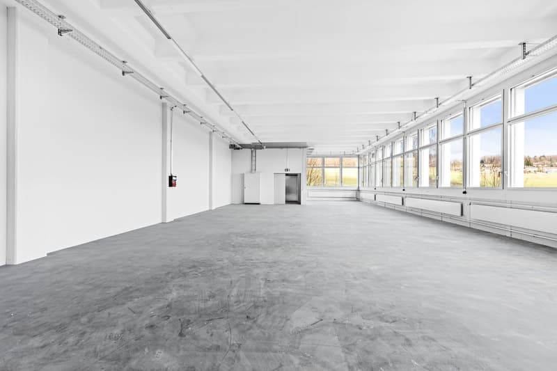 Renovated commercial space with 2 freight elevators available for occupancy from summer! (2)