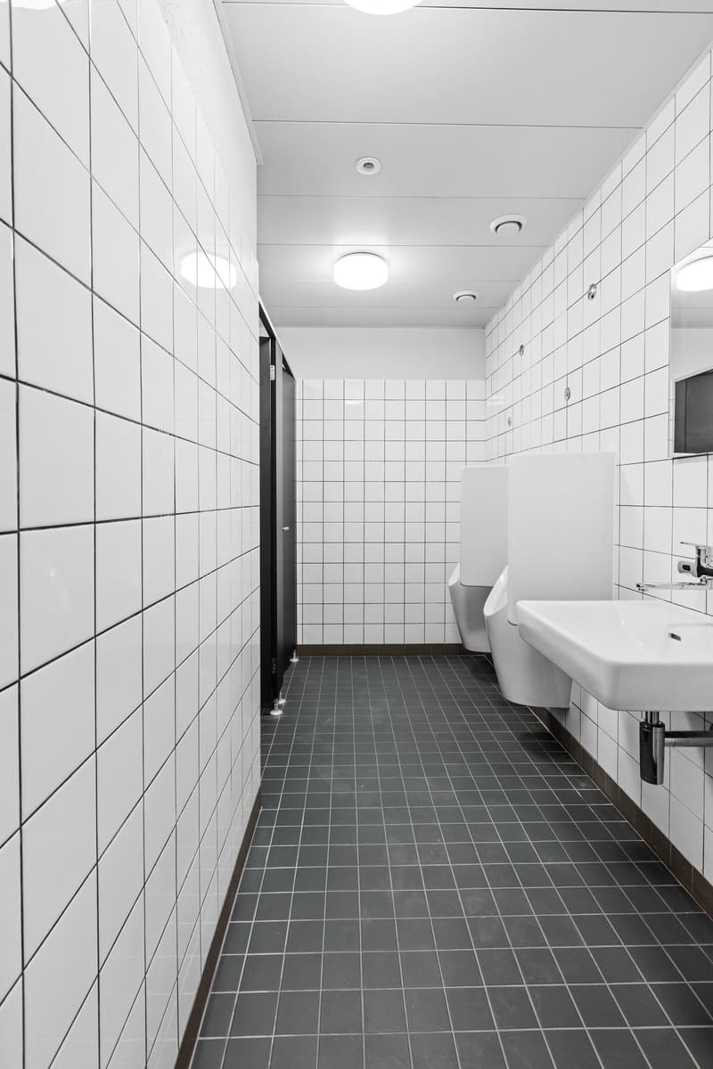 Renovated commercial space with 2 freight elevators available for occupancy from summer! (5)