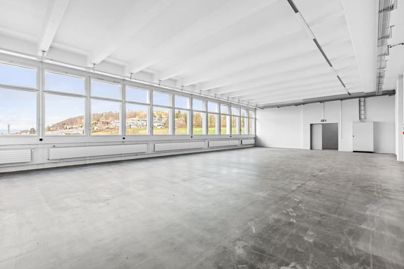 Renovated commercial space with 2 freight elevators available for occupancy from summer! (6)