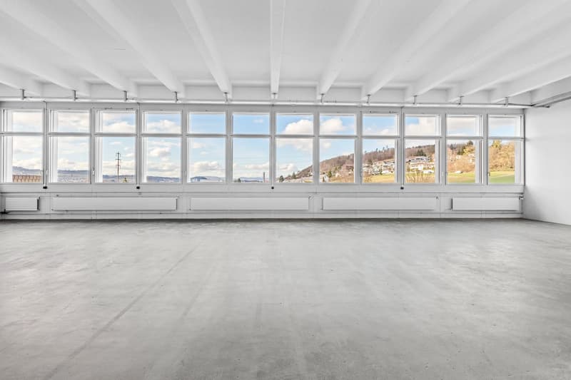 Renovated commercial space with 2 freight elevators available for occupancy from summer! (3)