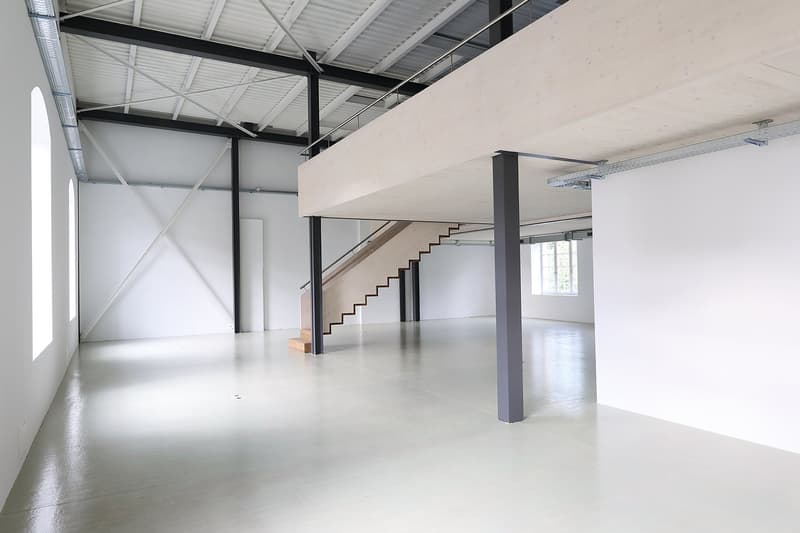 Spazio loft moderno con mezzanino e carattere industriale impressionante (3)