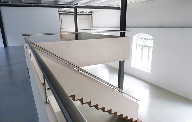 Spazio loft moderno con mezzanino e carattere industriale impressionante (7)